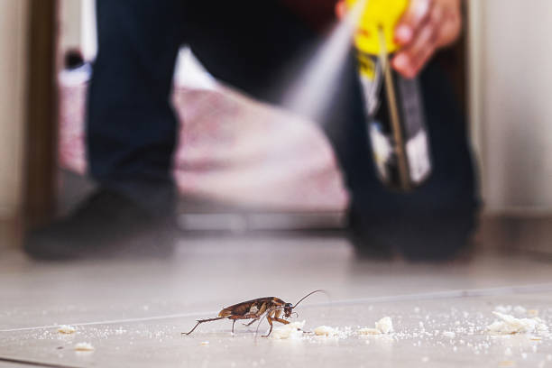 Trusted North Bend, OH Pest Control Experts